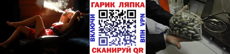 ГАШИШ Premium Семилуки
