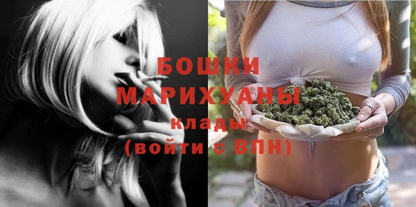 стаф Приозерск