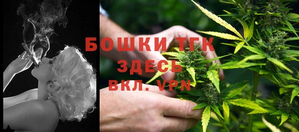 стаф Приозерск