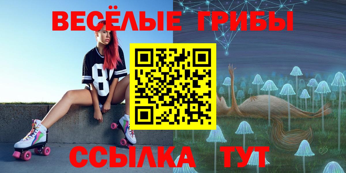 Псилоцибиновые грибы Psilocybine cubensis Семилуки